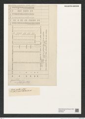 Stictodiscus sp. (de-Toni-Nr.: Genus 205) Zeichnungen Sammlung Grunow (NHMW-BOT-W0378819)